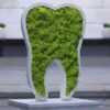 Ideas for Dental Practices