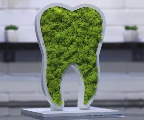 Ideas for Dental Practices